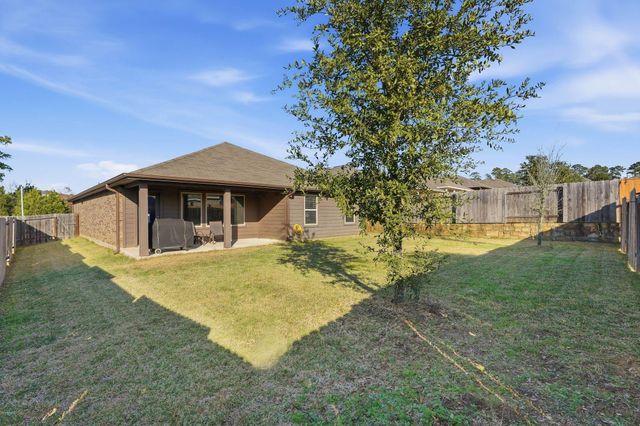 11519 Parrot Fish Court, Conroe, TX 77304