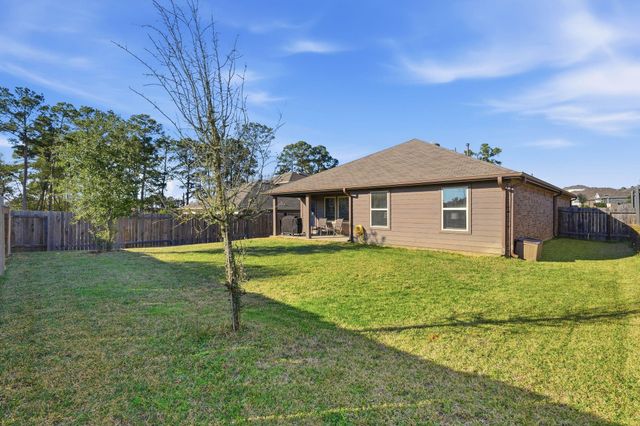 11519 Parrot Fish Court, Conroe, TX 77304