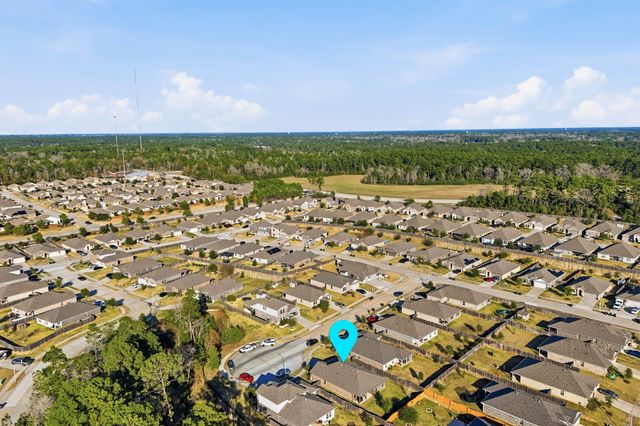 11519 Parrot Fish Court, Conroe, TX 77304