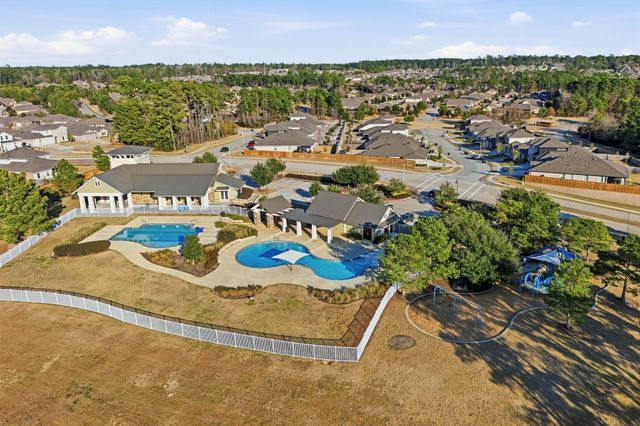 11519 Parrot Fish Court, Conroe, TX 77304