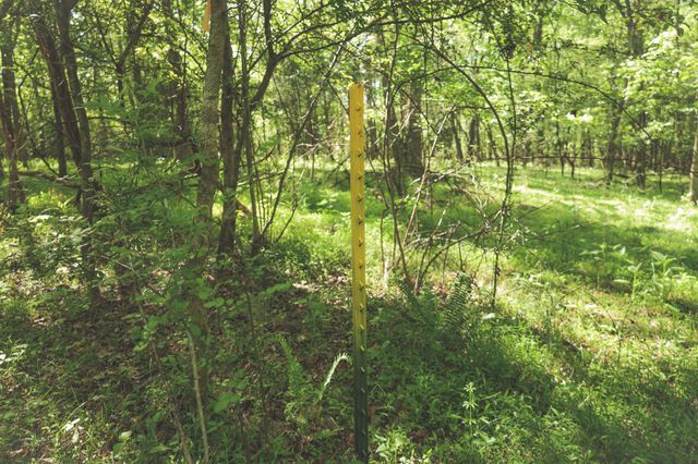 0 Highland RIdge Road, Estill Springs, TN 37330