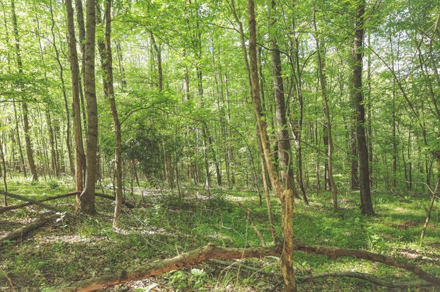 0 Highland RIdge Road, Estill Springs, TN 37330