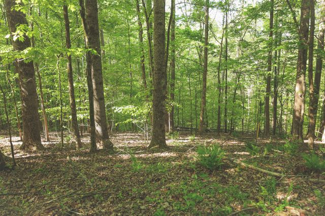 0 Highland RIdge Road, Estill Springs, TN 37330