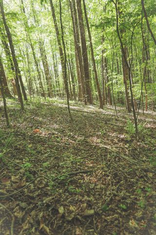 0 Highland RIdge Road, Estill Springs, TN 37330