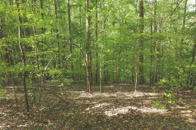 0 Highland RIdge Road, Estill Springs, TN 37330