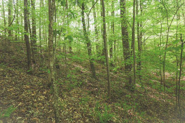 0 Highland RIdge Road, Estill Springs, TN 37330