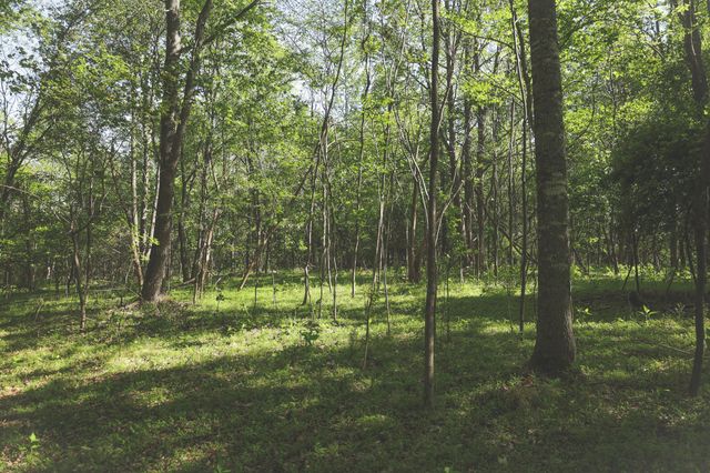 0 Highland RIdge Road, Estill Springs, TN 37330