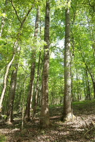 0 Highland RIdge Road, Estill Springs, TN 37330
