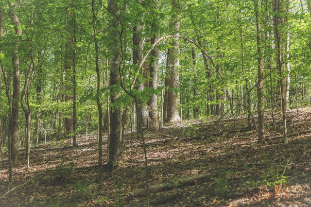 0 Highland RIdge Road, Estill Springs, TN 37330