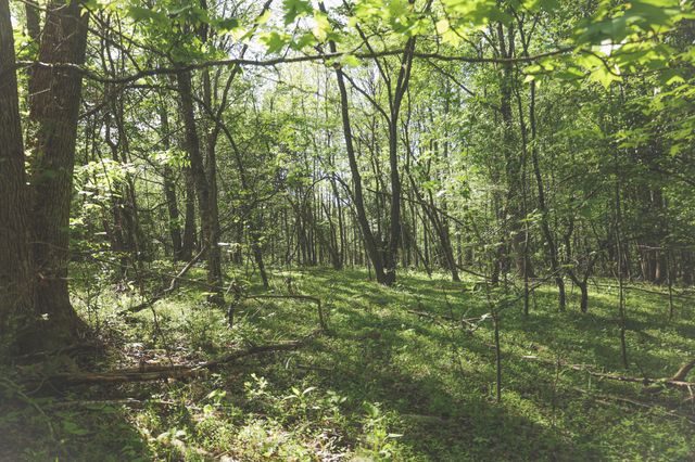 0 Highland RIdge Road, Estill Springs, TN 37330