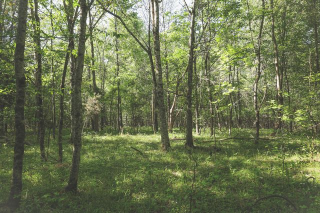 0 Highland RIdge Road, Estill Springs, TN 37330