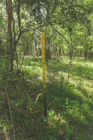 0 Highland RIdge Road, Estill Springs, TN 37330