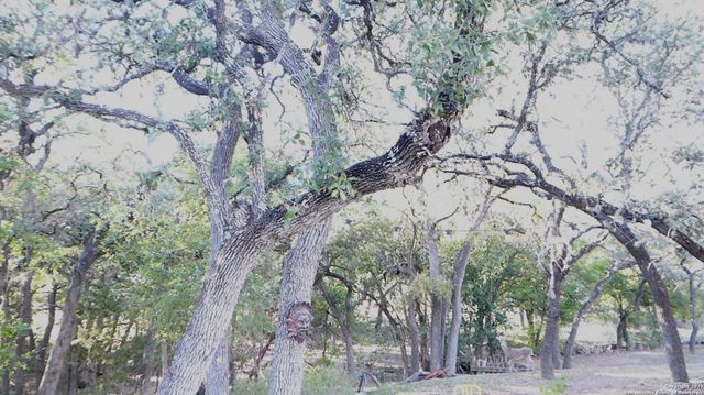 849 Tamarack, Canyon Lake, TX 78133