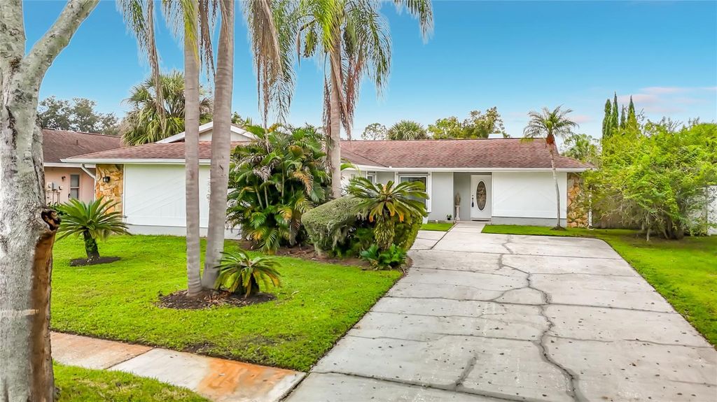 5118 BRYNN MAWR DRIVE, Tampa, FL 33624