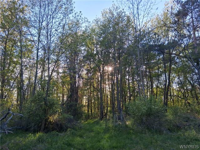 5565 Ridge Road, Newfane, NY 14094