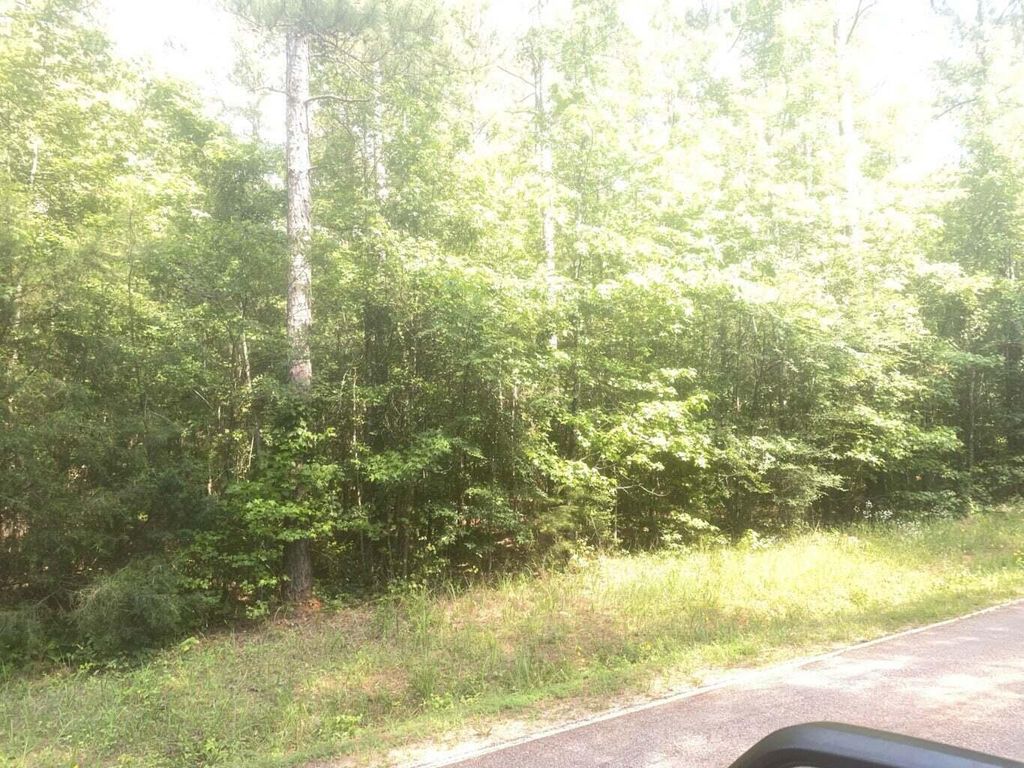 N 311 MARTINTOWN Road