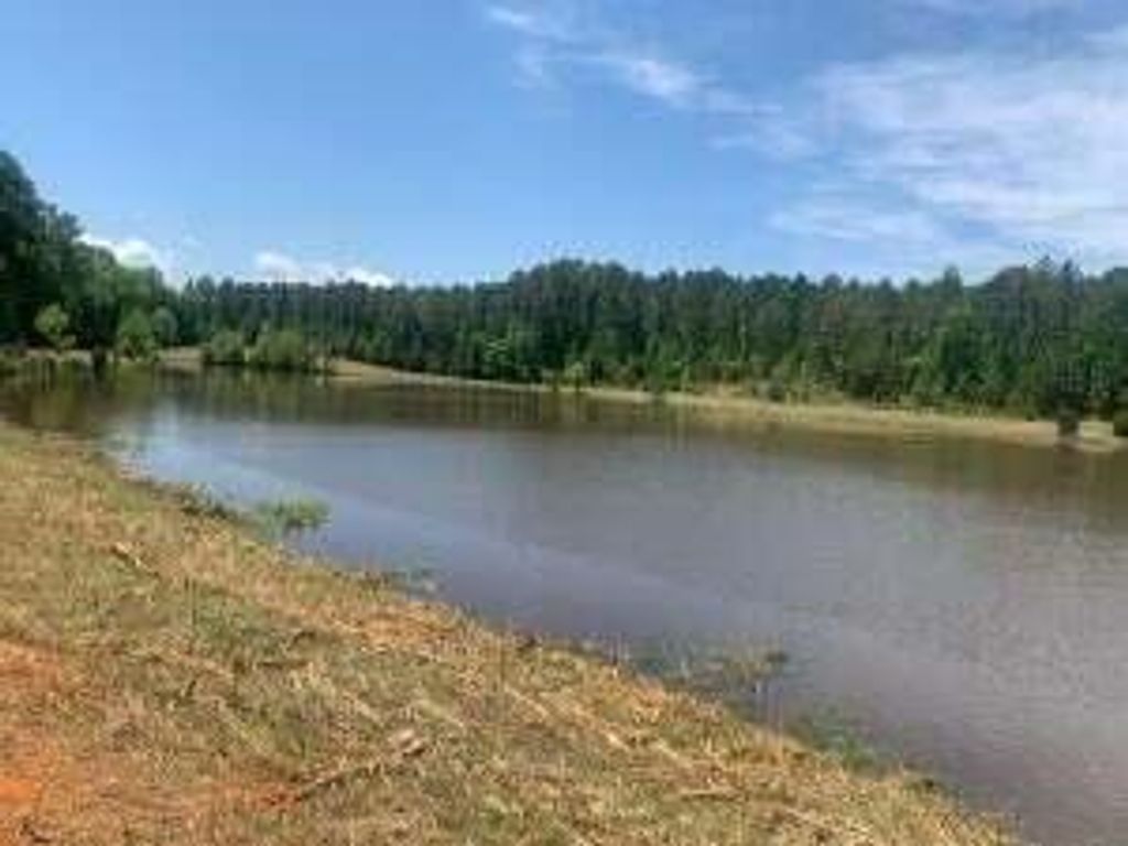 N 311 MARTINTOWN Road