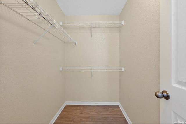 5310 Gemsbuck Chase, San Antonio, TX 78251