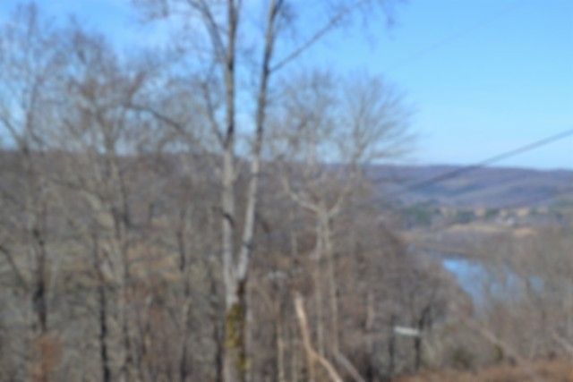 0 Schelley Rd, Gainesboro, TN 38562