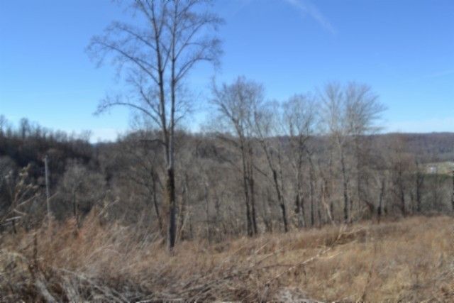 0 Schelley Rd, Gainesboro, TN 38562