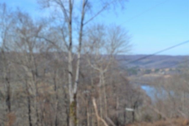 0 Schelley Rd, Gainesboro, TN 38562