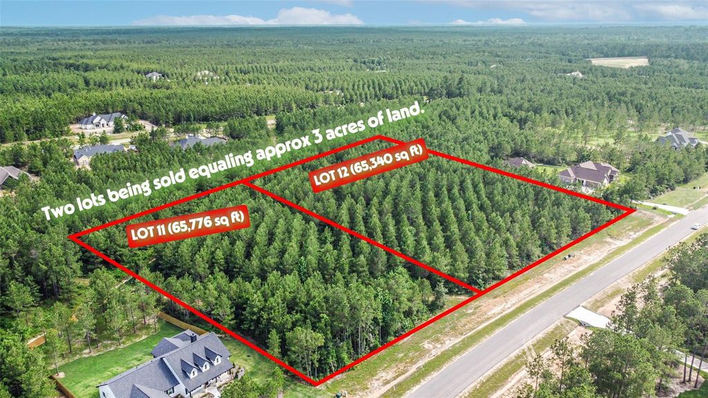 15921 Ridge Oak Road, Willis, TX 77378