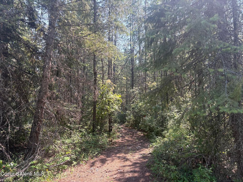 L7B130 W Vermont St, Spirit Lake, ID 83869 photo 3