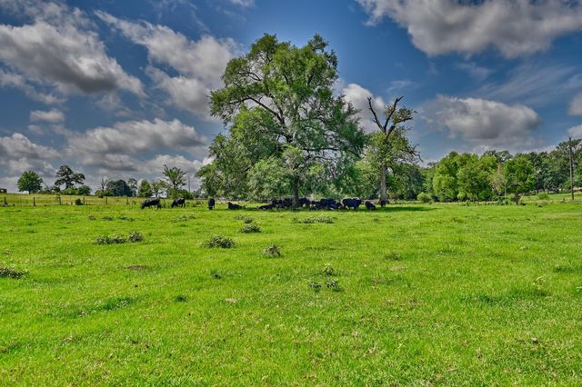 8566 Equestrian Lane, Washington, TX 77880