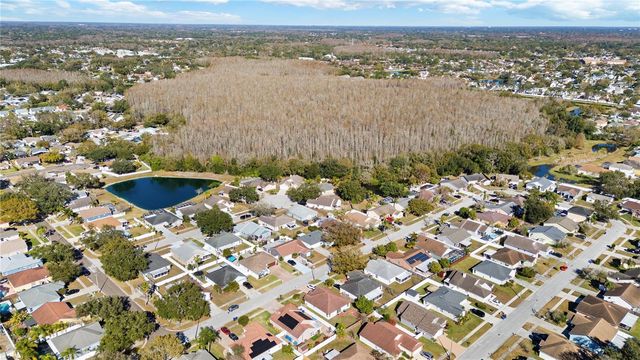 5927 TAYWOOD DRIVE, Tampa, FL 33624