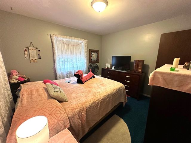 209 West Drive, Mount Pleasant, MI 48858