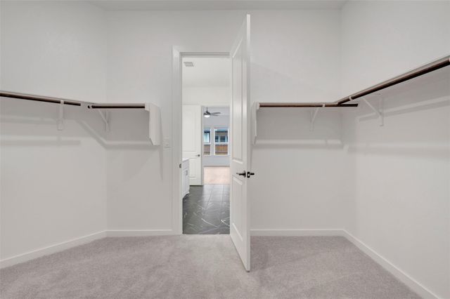13205 Stabler DR, Austin, TX 78652