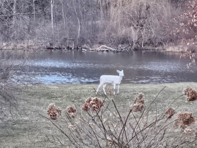 2457 Spring Lake Lane Lane, Brighton Township, MI 48114