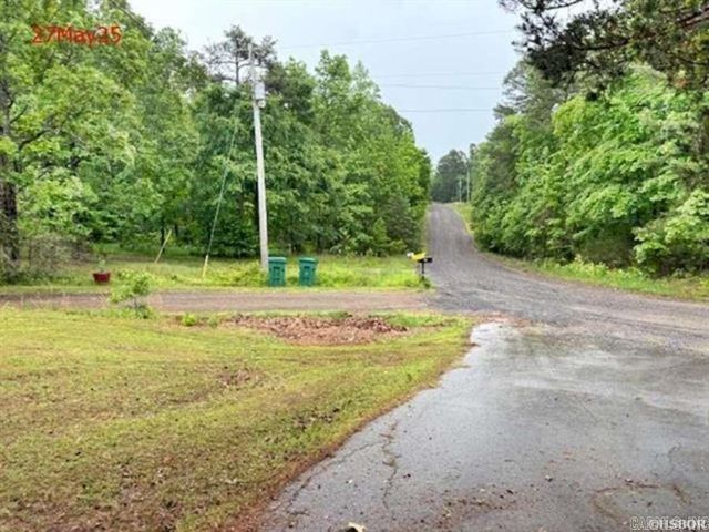 99 Mountain Village, Bigelow, AR 72016