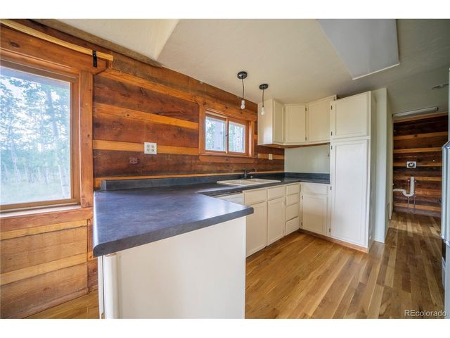 326 Canthook Ln, Fairplay, CO 80440