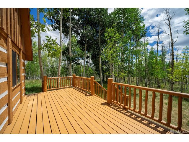 326 Canthook Ln, Fairplay, CO 80440