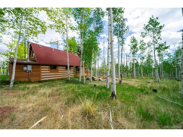 326 Canthook Ln, Fairplay, CO 80440