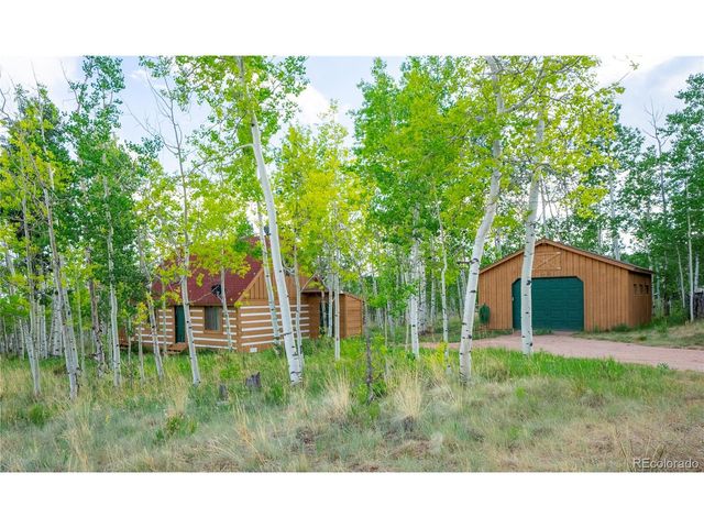 326 Canthook Ln, Fairplay, CO 80440