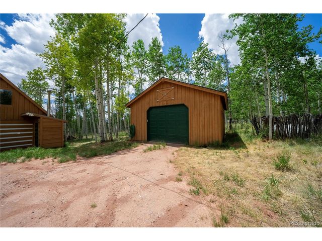 326 Canthook Ln, Fairplay, CO 80440