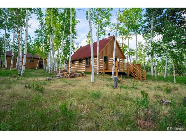 326 Canthook Ln, Fairplay, CO 80440