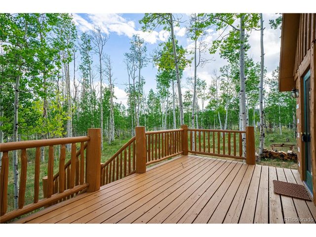 326 Canthook Ln, Fairplay, CO 80440