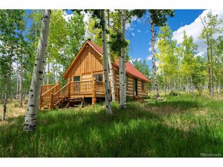 326 Canthook Ln, Fairplay, CO 80440