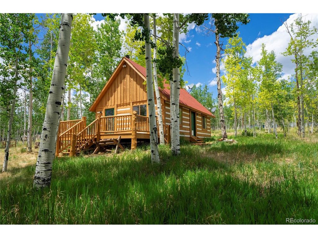 326 Canthook Ln, Fairplay, CO 80440