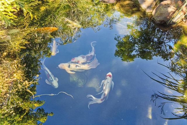 3475 Ramada Way, Shingle Springs, CA 95682