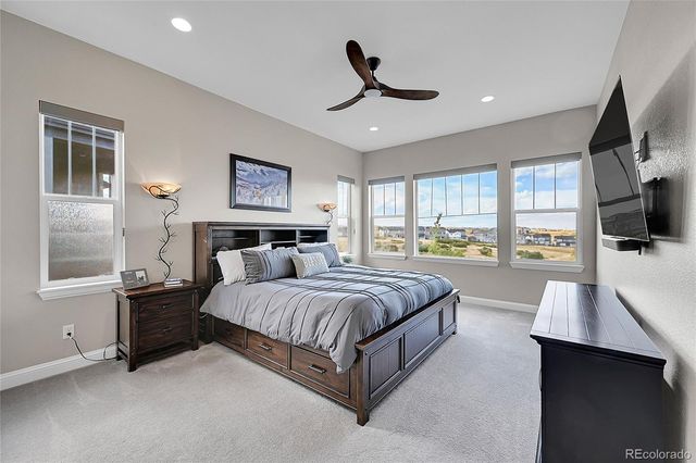 3303 Carabiner Street, Castle Rock, CO 80108