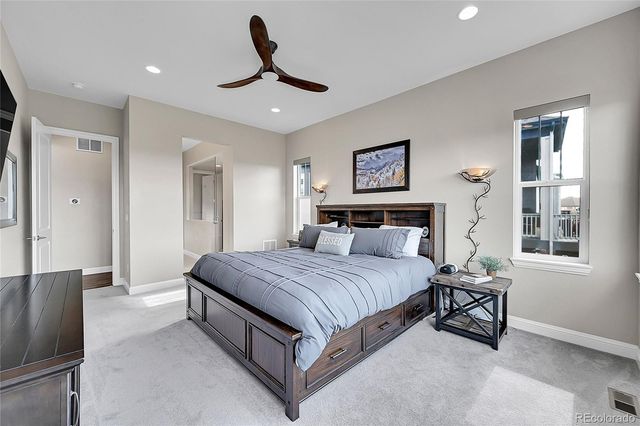 3303 Carabiner Street, Castle Rock, CO 80108