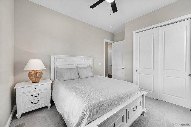 3303 Carabiner Street, Castle Rock, CO 80108