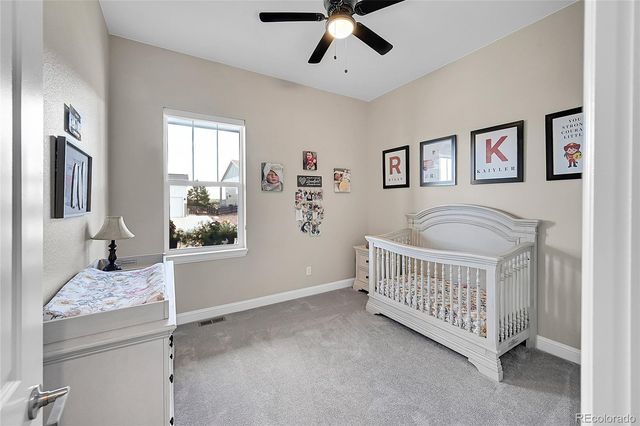 3303 Carabiner Street, Castle Rock, CO 80108