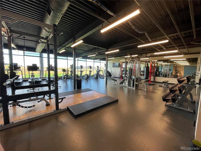 3303 Carabiner Street, Castle Rock, CO 80108