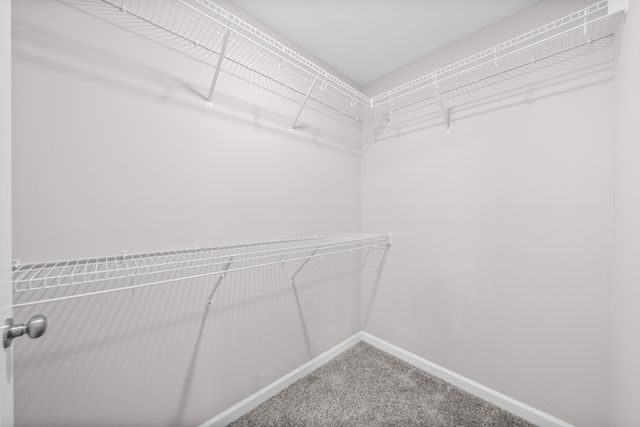 1493 Fredrick Dr, Clarksville, TN 37042