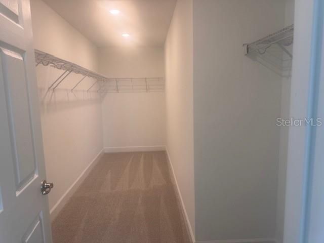 4411 LAUREL SITE LOOP, Apopka, FL 32712